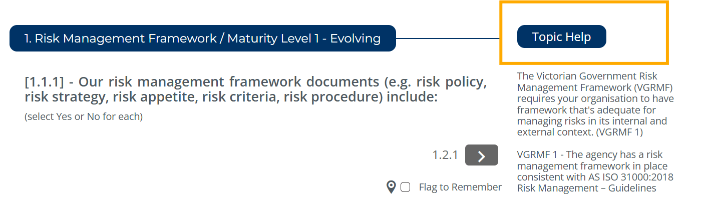 VMIA - Risk management - Risk Maturity Benchmark – client user guide - illustration 07