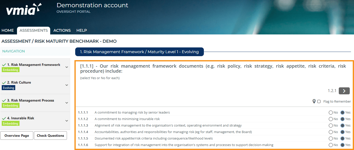 Risk Maturity Benchmark - Completing the assessment